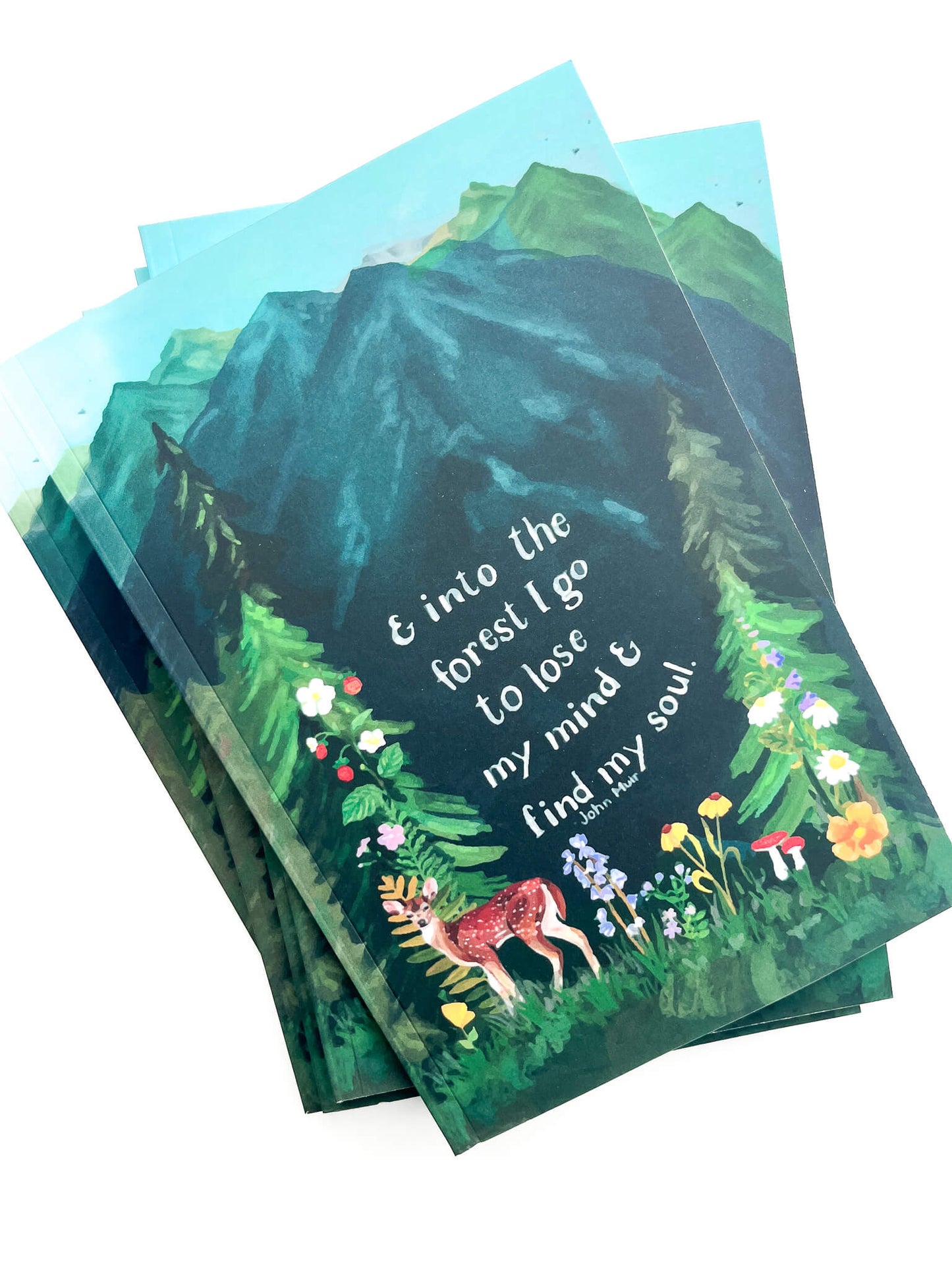 Wilderness Forest Notebook – Softcover, 100 Lined Pages, Nature Corner Art, Inspirational John Muir Quote