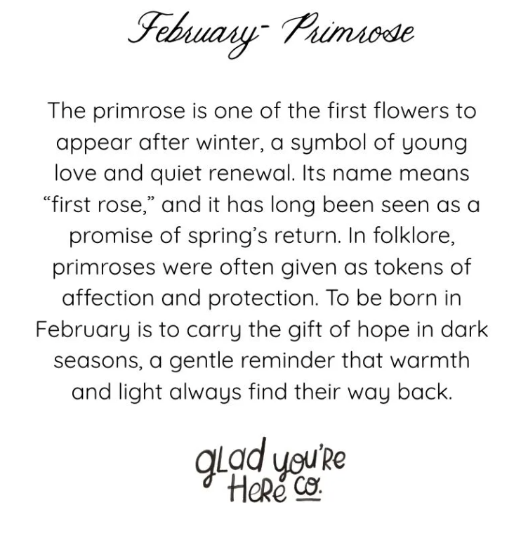 February Birth Month Flower Greeting Card - Primrose Vintage Flower Birthday Card – Botanical Gift