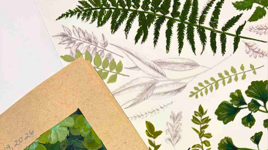 Nature is a better teacher than hustle culture ever was: for the women who holds everyone