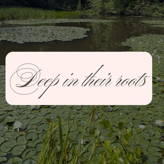 lily pads and their lessons on resilience