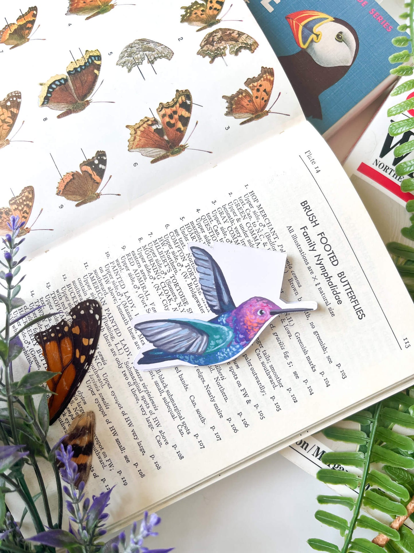 Hummingbird Butterfly Magnetic Bookmark