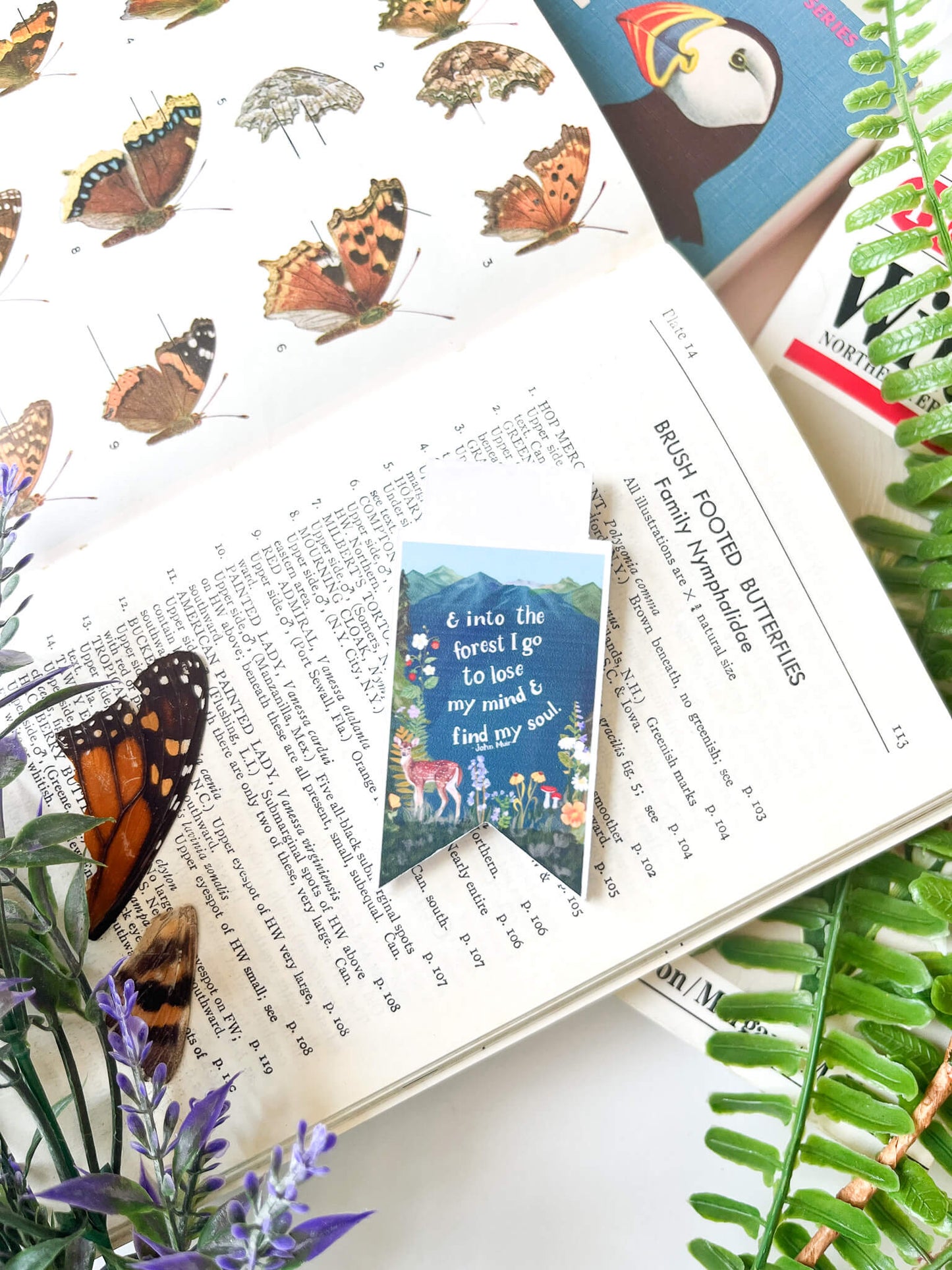 Into the Wild Quote Magnetic Bookmark