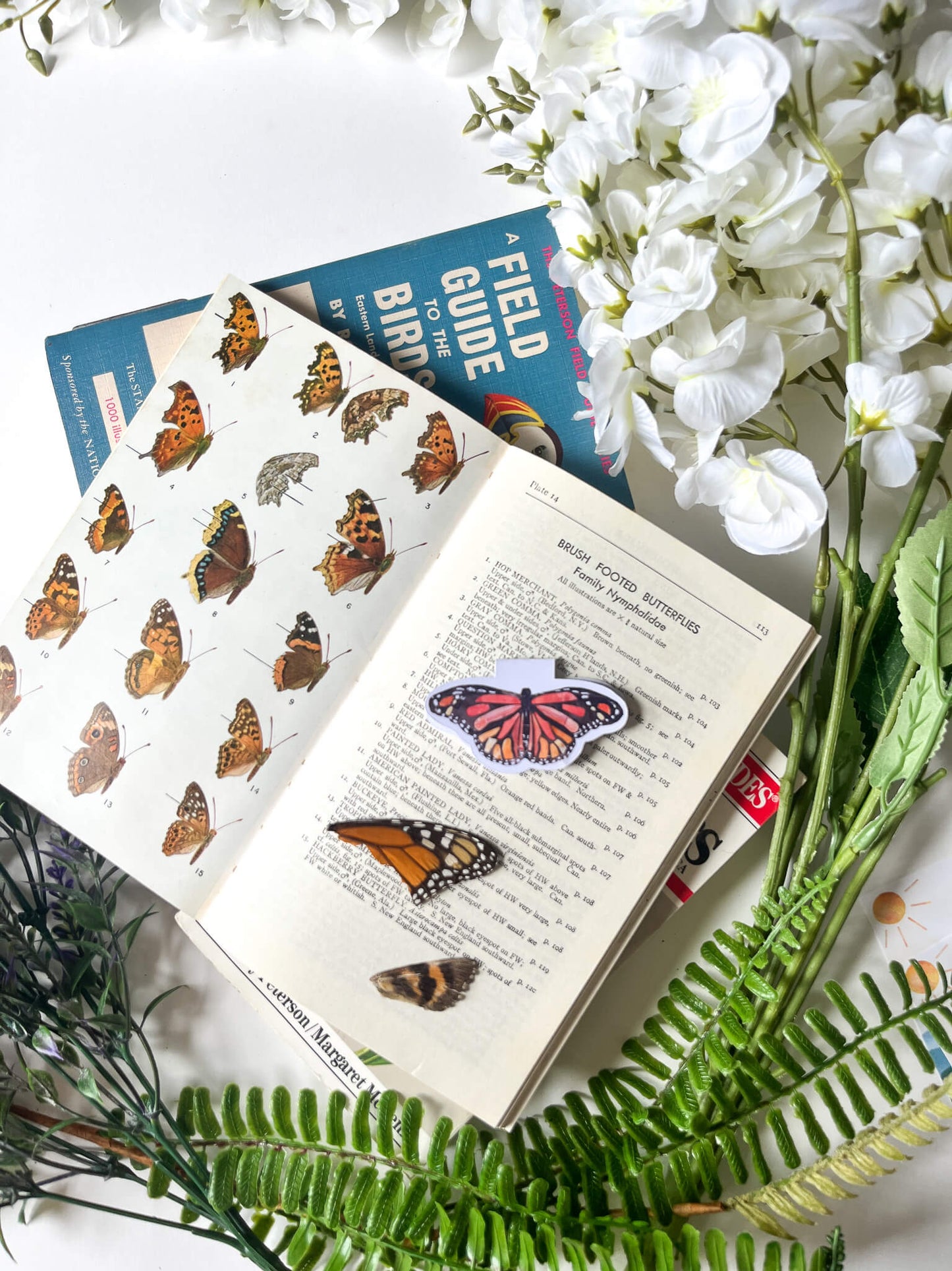 Wilderness Magnetic Bookmark Four Pack