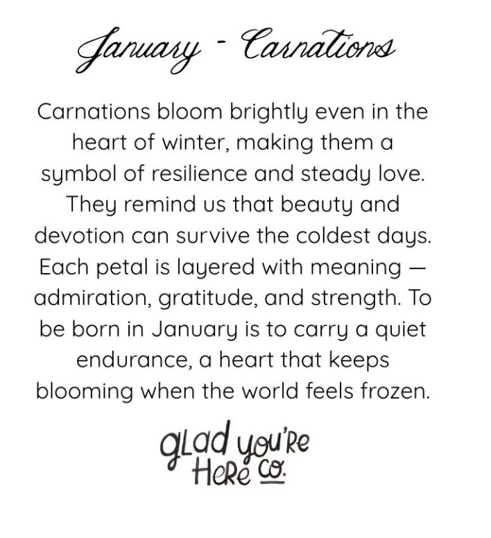 January Birth Month Flower Greeting Card - Carnation Flower Painting Birthday Card