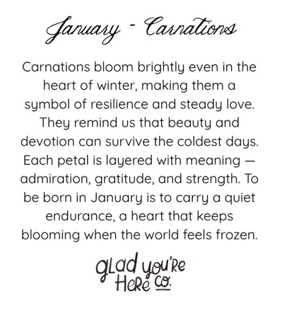 January Birth Month Flower Greeting Card - Carnation Flower Painting Birthday Card