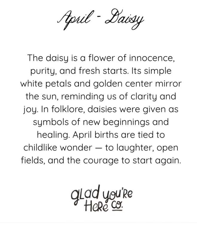 April Birth Flower Greeting Card – Daisy Art on Handmade Paper – Vintage Botanical Cheer & Optimism