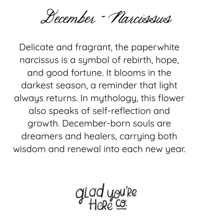 December Birth Month Flower Greeting Card– Narcissus Flower Card with Envelope – Vintage Botanical Artwork of Prosperity & Hope