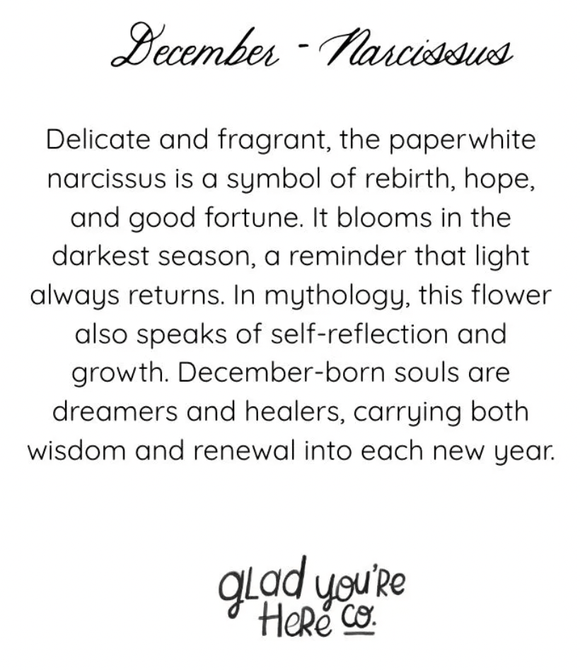 December birth flower hand painted greeting card - narcissus